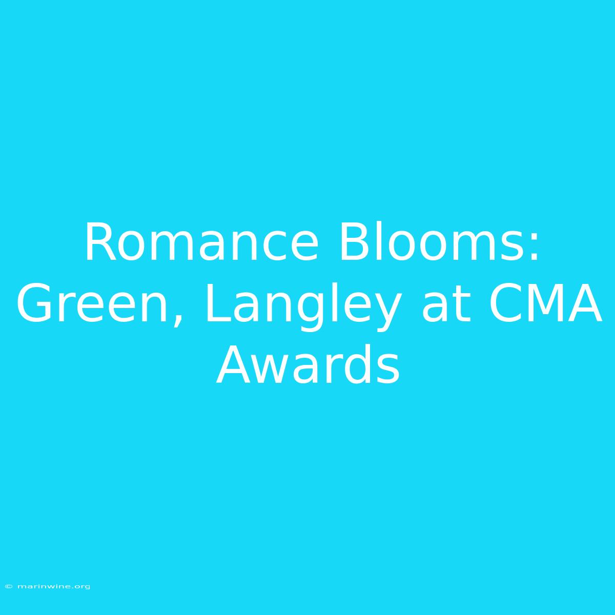 Romance Blooms: Green, Langley At CMA Awards