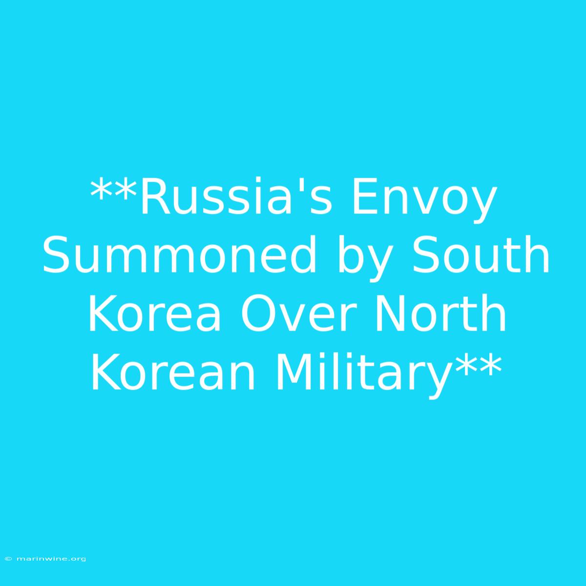 **Russia's Envoy Summoned By South Korea Over North Korean Military** 