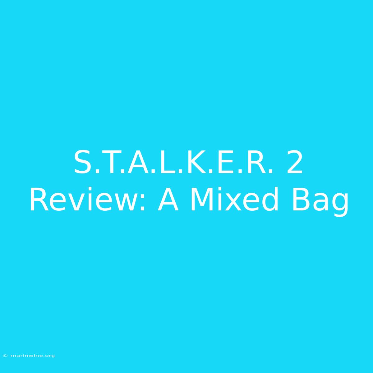 S.T.A.L.K.E.R. 2 Review: A Mixed Bag