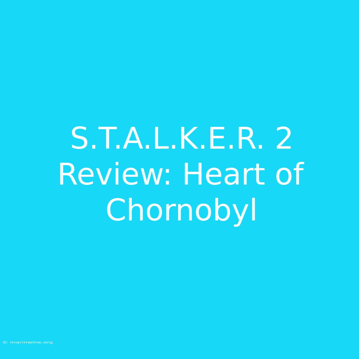 S.T.A.L.K.E.R. 2 Review: Heart Of Chornobyl