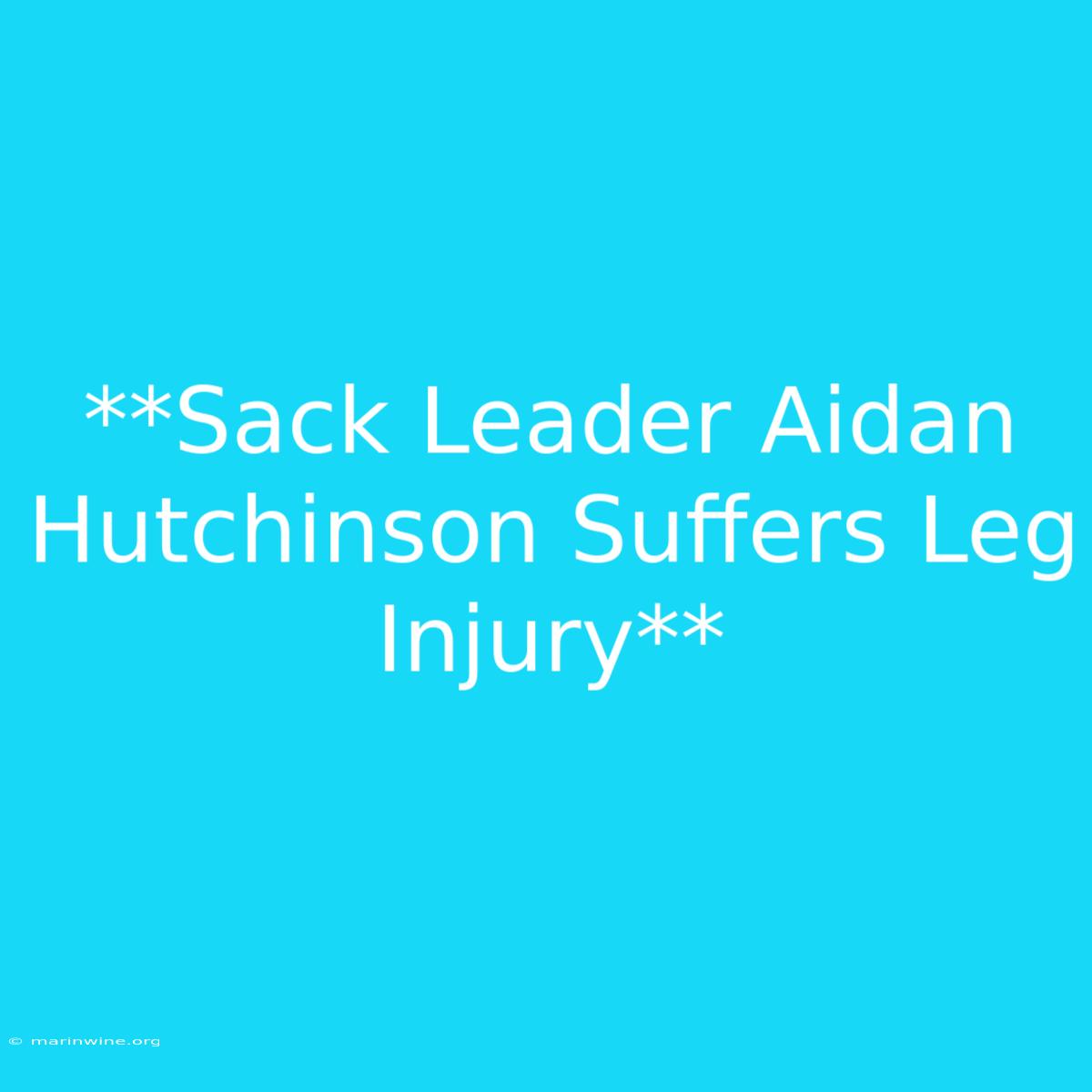 **Sack Leader Aidan Hutchinson Suffers Leg Injury**