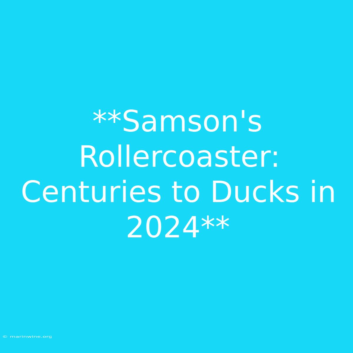 **Samson's Rollercoaster: Centuries To Ducks In 2024**