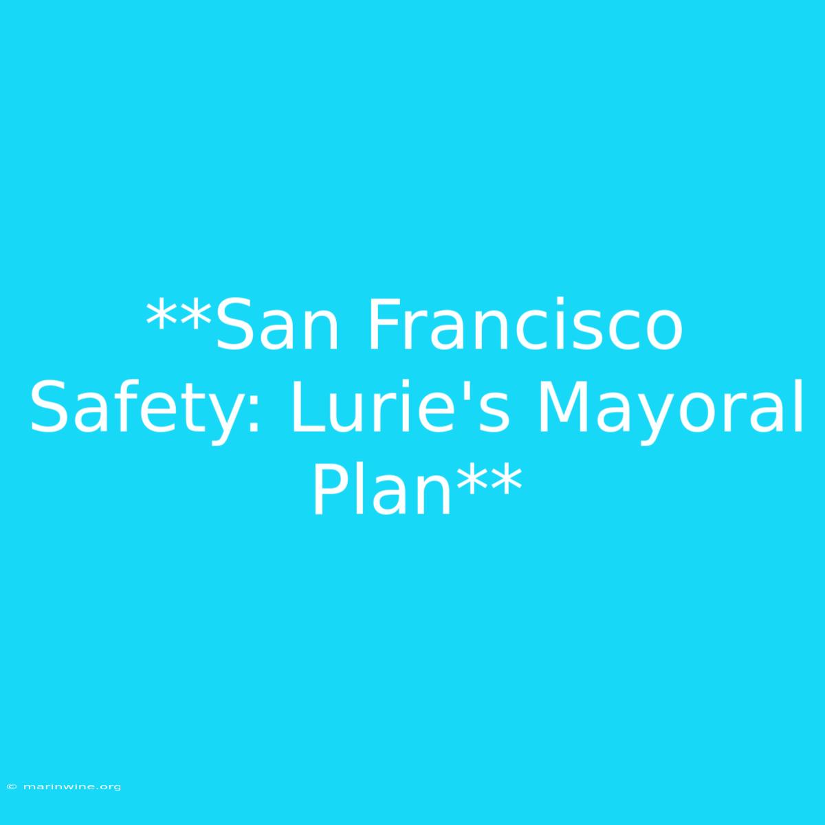 **San Francisco Safety: Lurie's Mayoral Plan** 