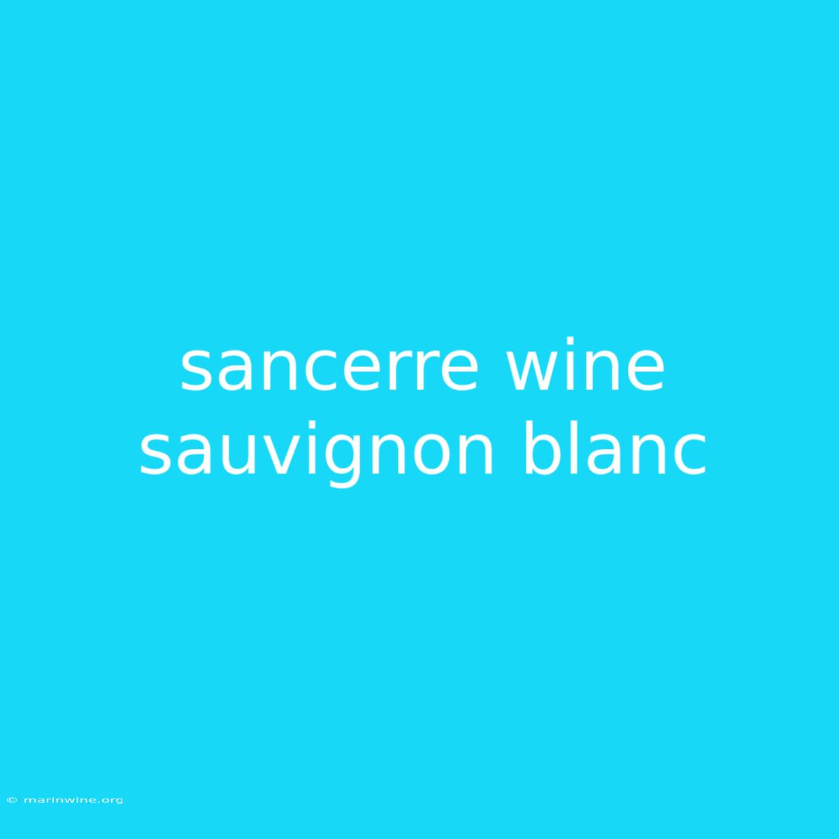 Sancerre Wine Sauvignon Blanc