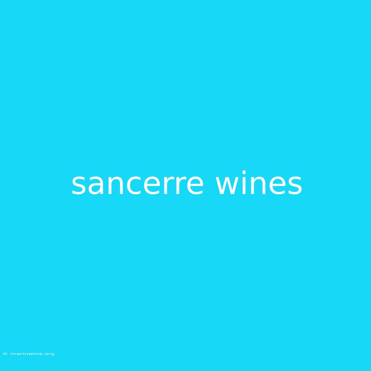 Sancerre Wines