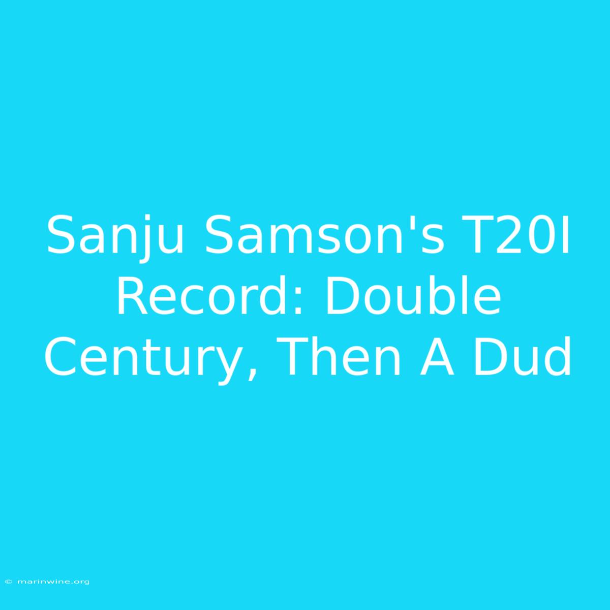 Sanju Samson's T20I Record: Double Century, Then A Dud