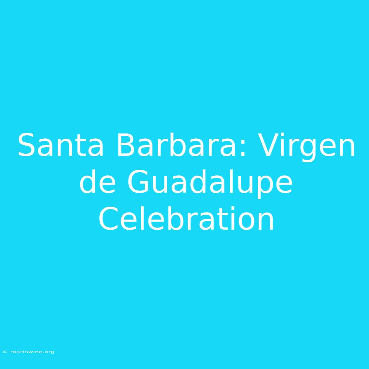 Santa Barbara: Virgen De Guadalupe Celebration