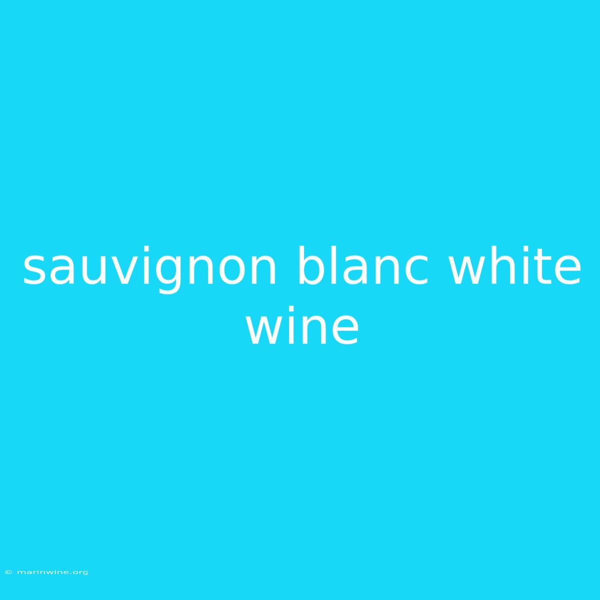 Sauvignon Blanc White Wine