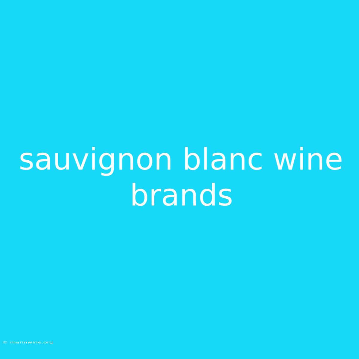 Sauvignon Blanc Wine Brands