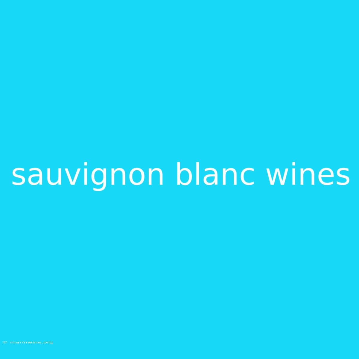 Sauvignon Blanc Wines