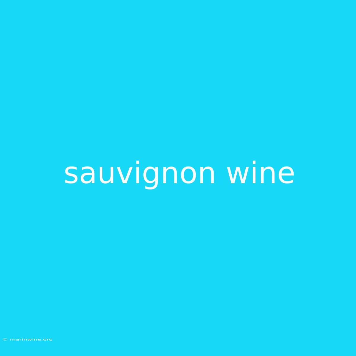 Sauvignon Wine