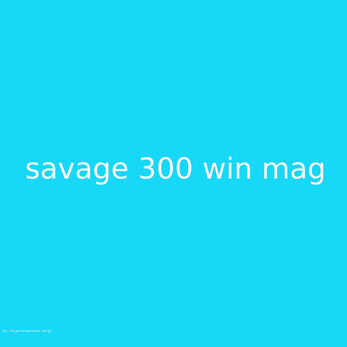 Savage 300 Win Mag