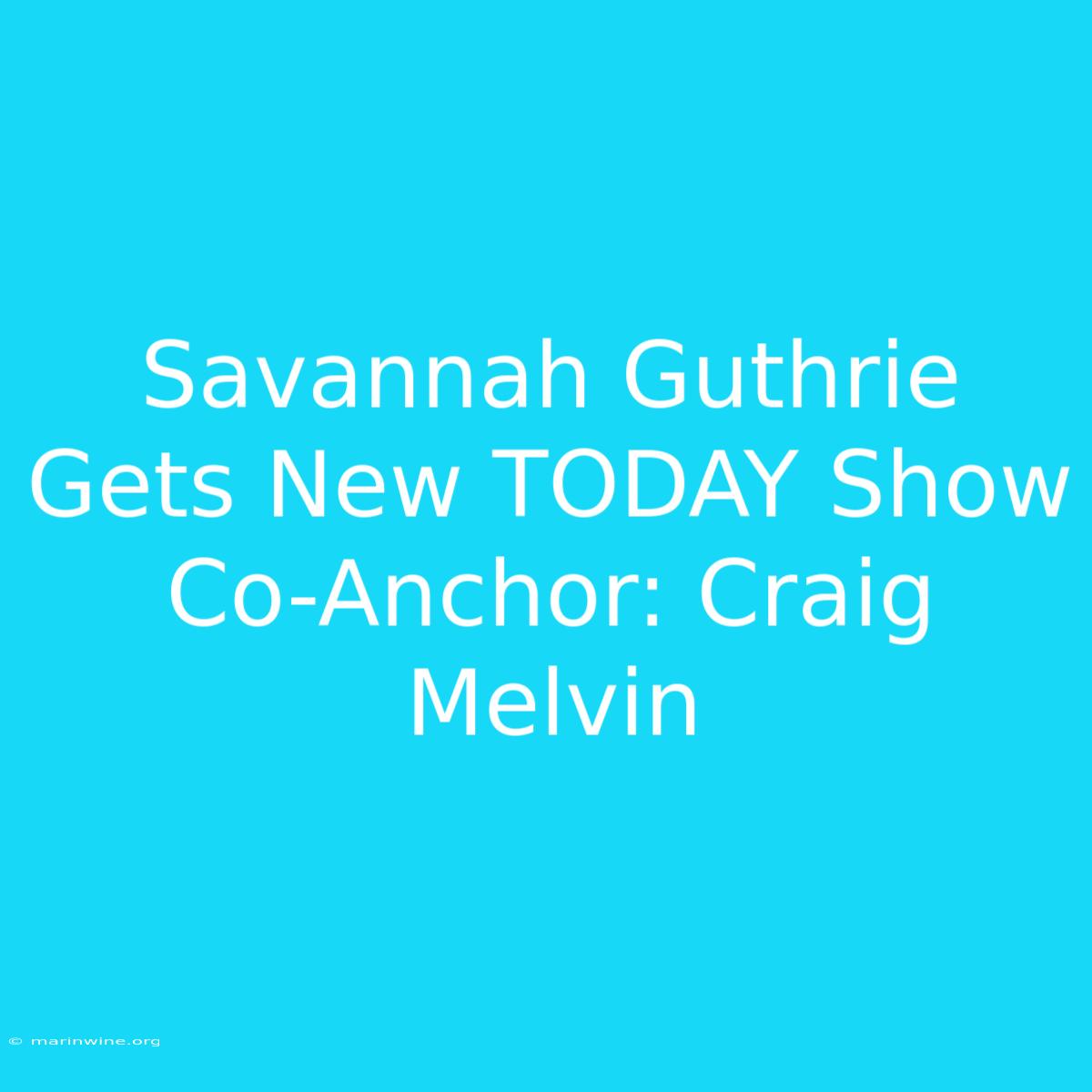 Savannah Guthrie Gets New TODAY Show Co-Anchor: Craig Melvin 