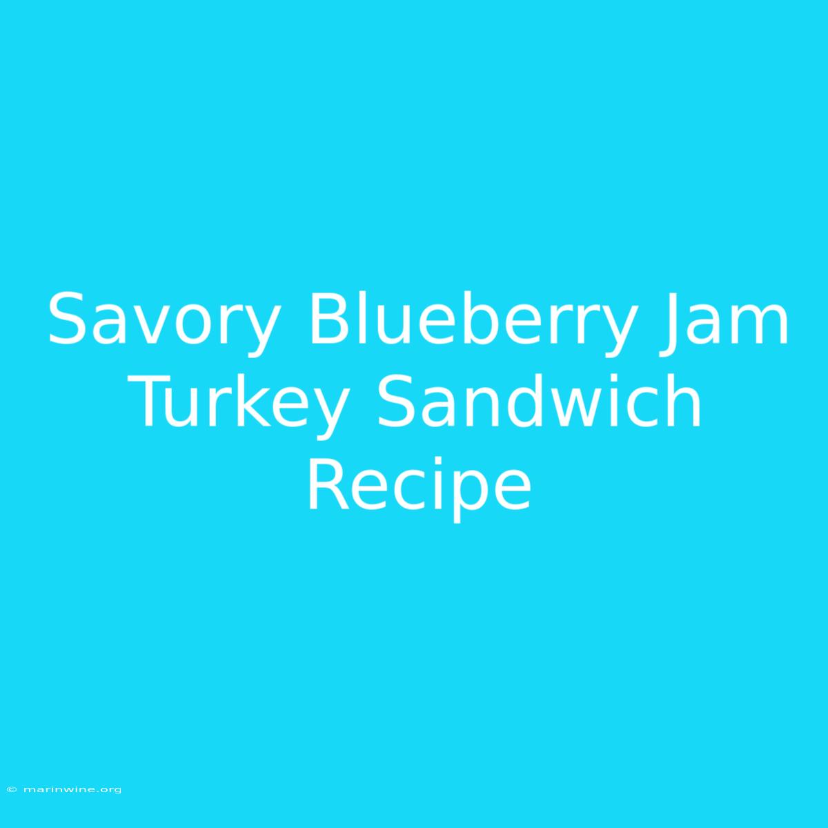 Savory Blueberry Jam Turkey Sandwich Recipe