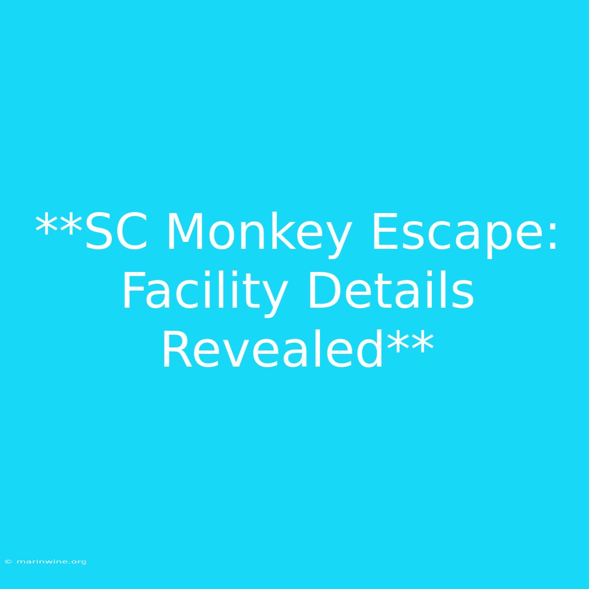 **SC Monkey Escape: Facility Details Revealed**