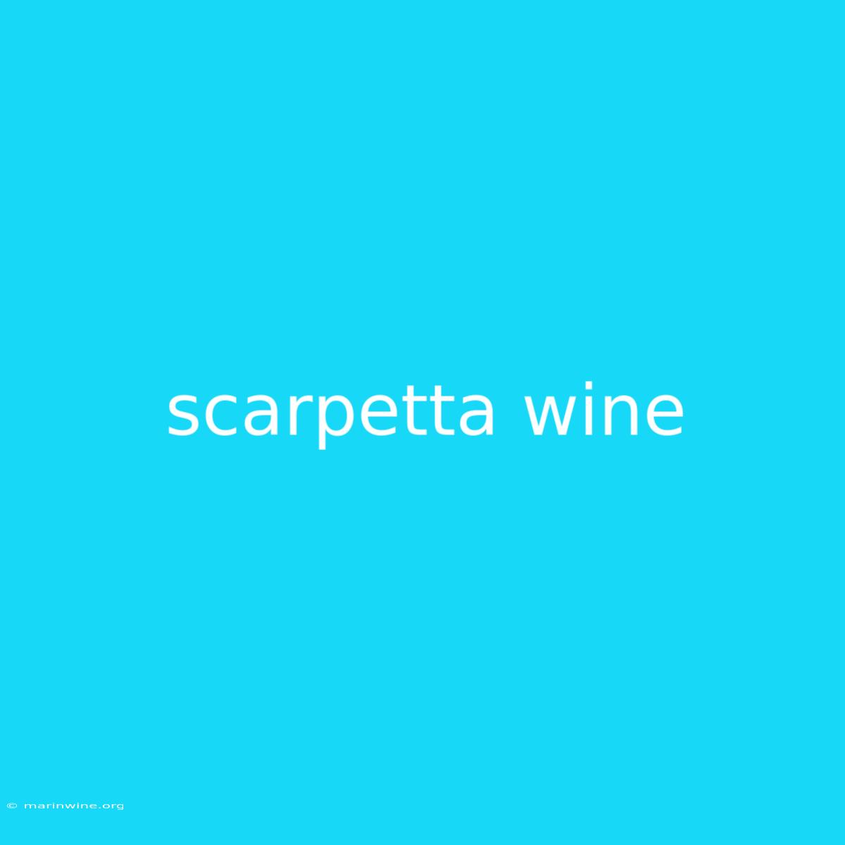 Scarpetta Wine