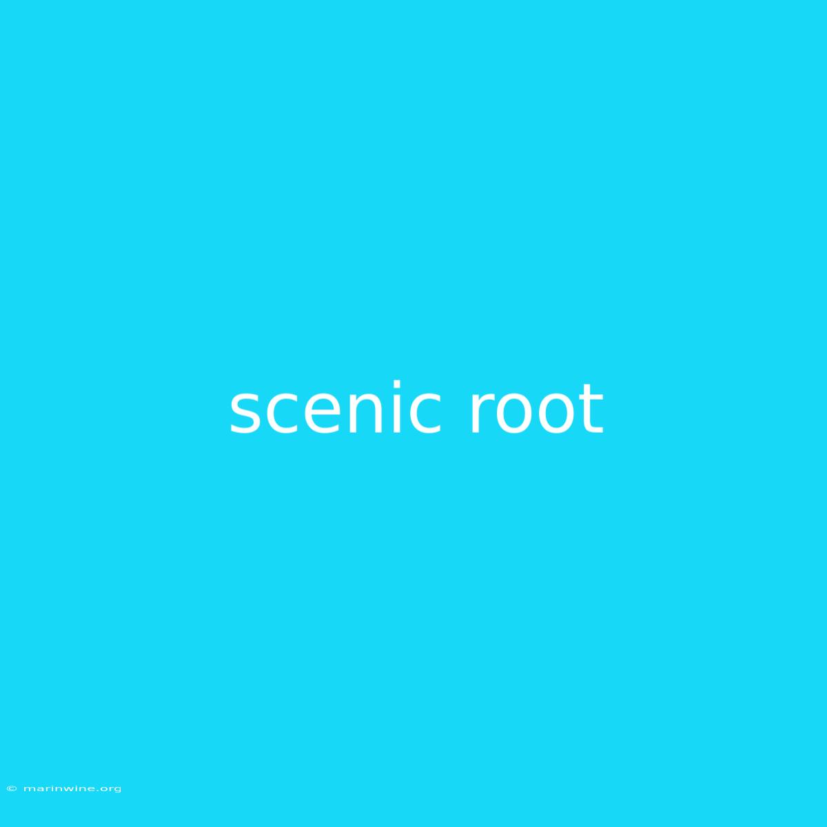 Scenic Root