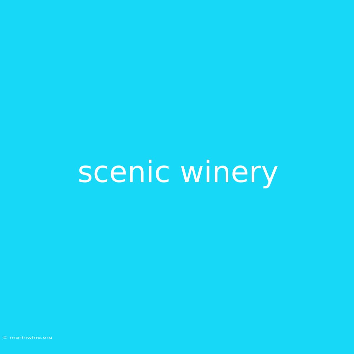 Scenic Winery