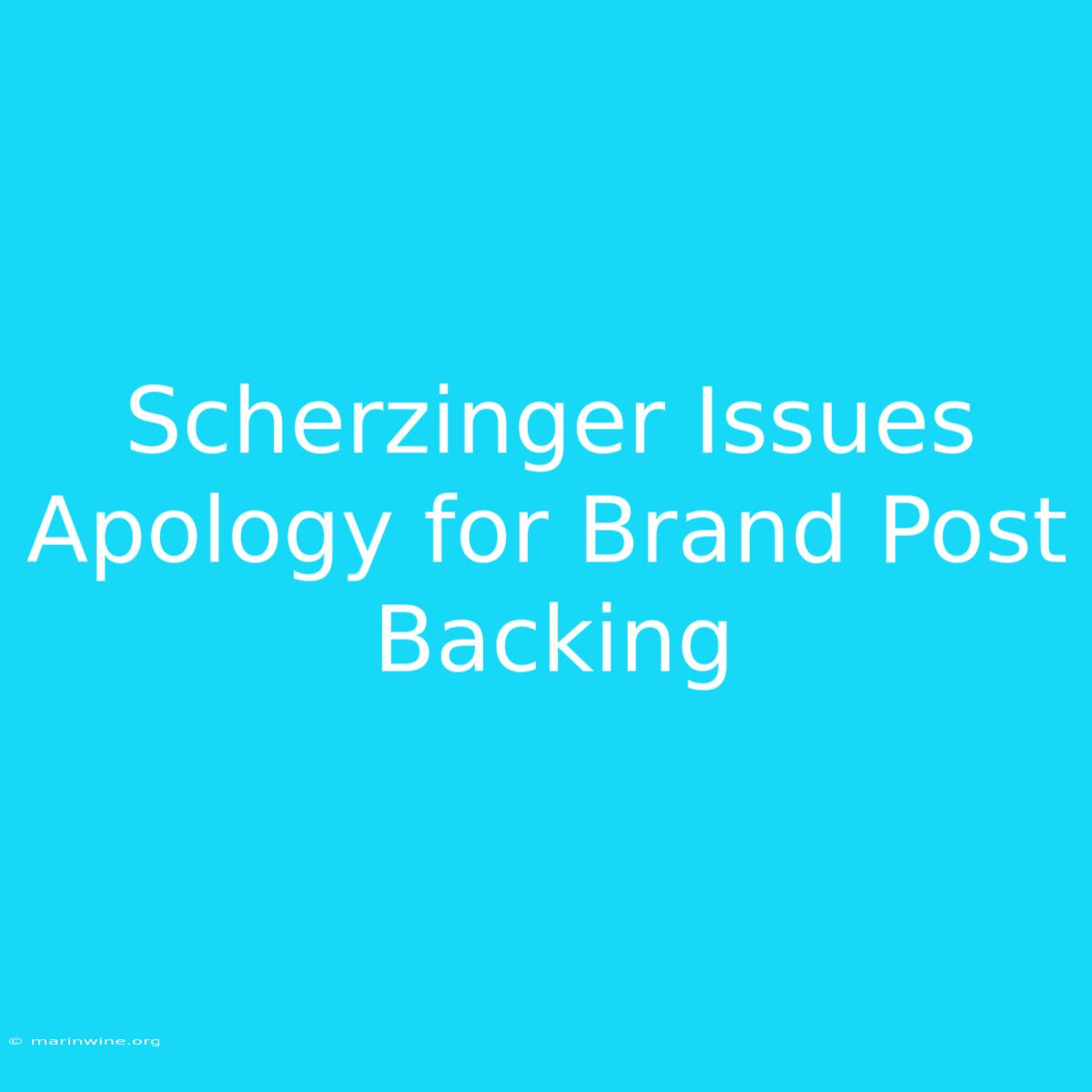 Scherzinger Issues Apology For Brand Post Backing