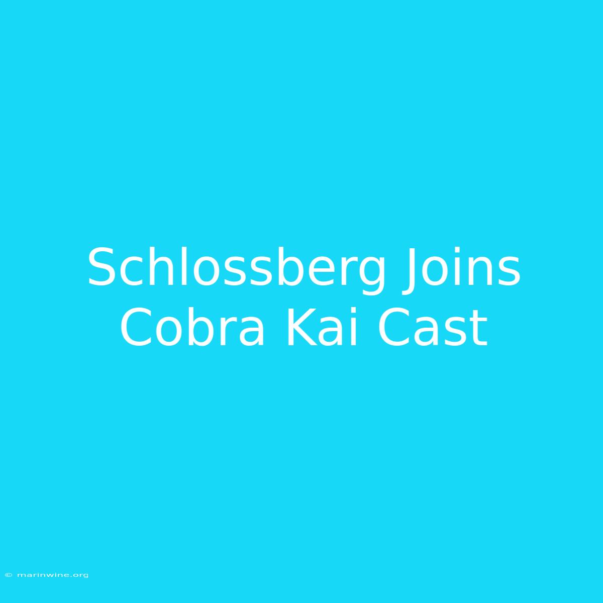 Schlossberg Joins Cobra Kai Cast