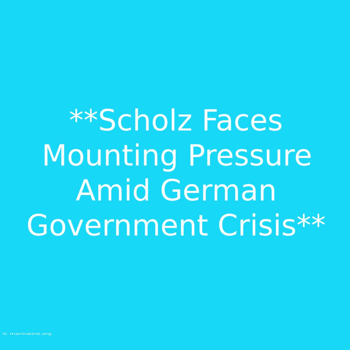 **Scholz Faces Mounting Pressure Amid German Government Crisis**