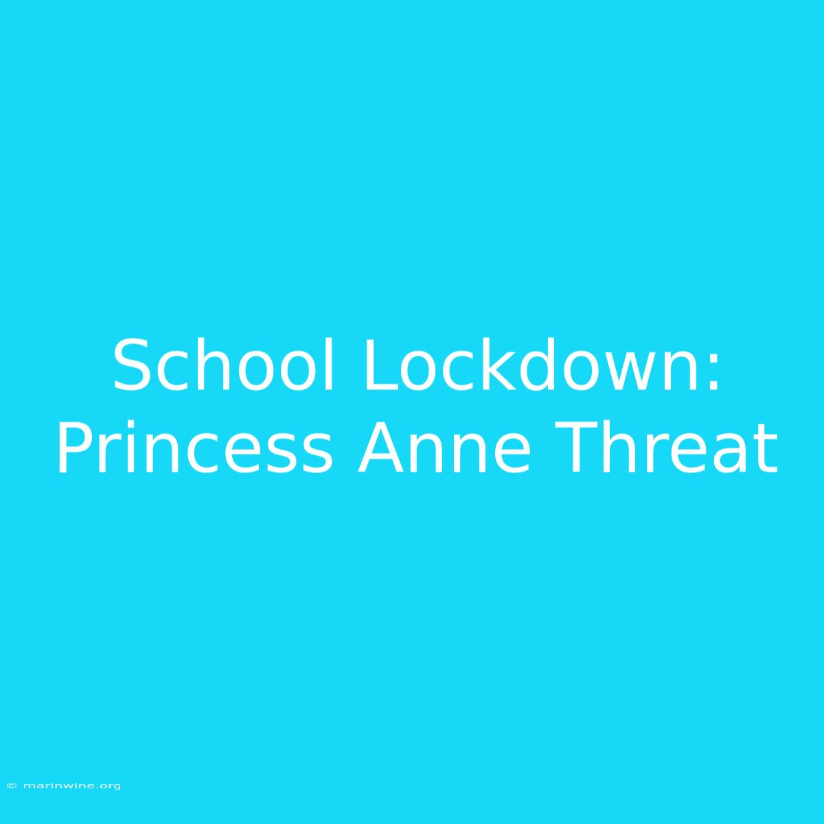 School Lockdown: Princess Anne Threat