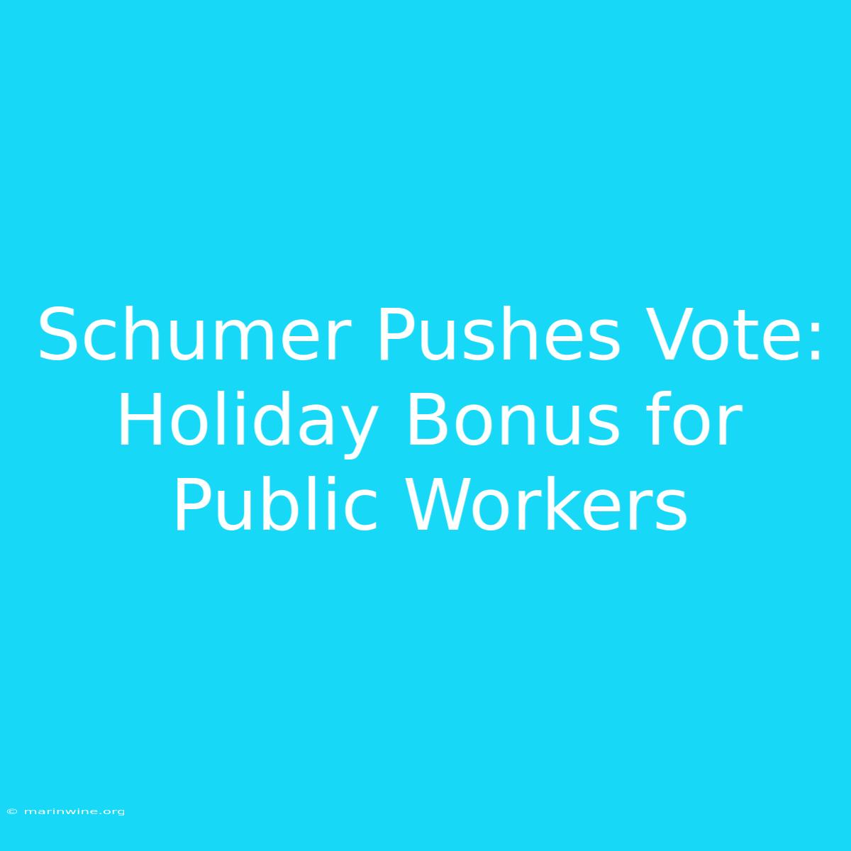 Schumer Pushes Vote: Holiday Bonus For Public Workers