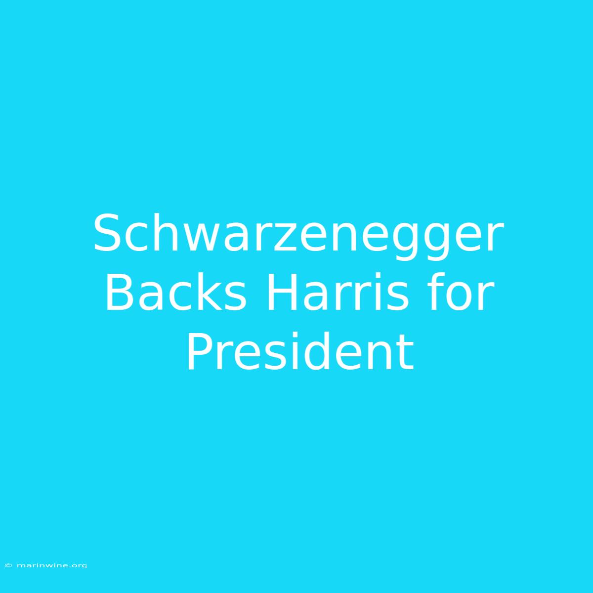 Schwarzenegger Backs Harris For President