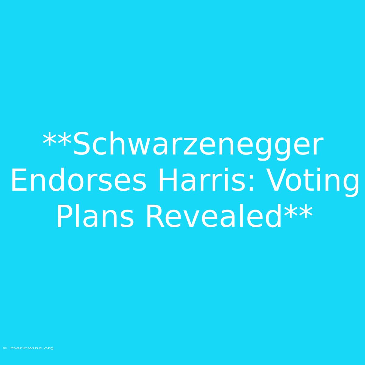 **Schwarzenegger Endorses Harris: Voting Plans Revealed**