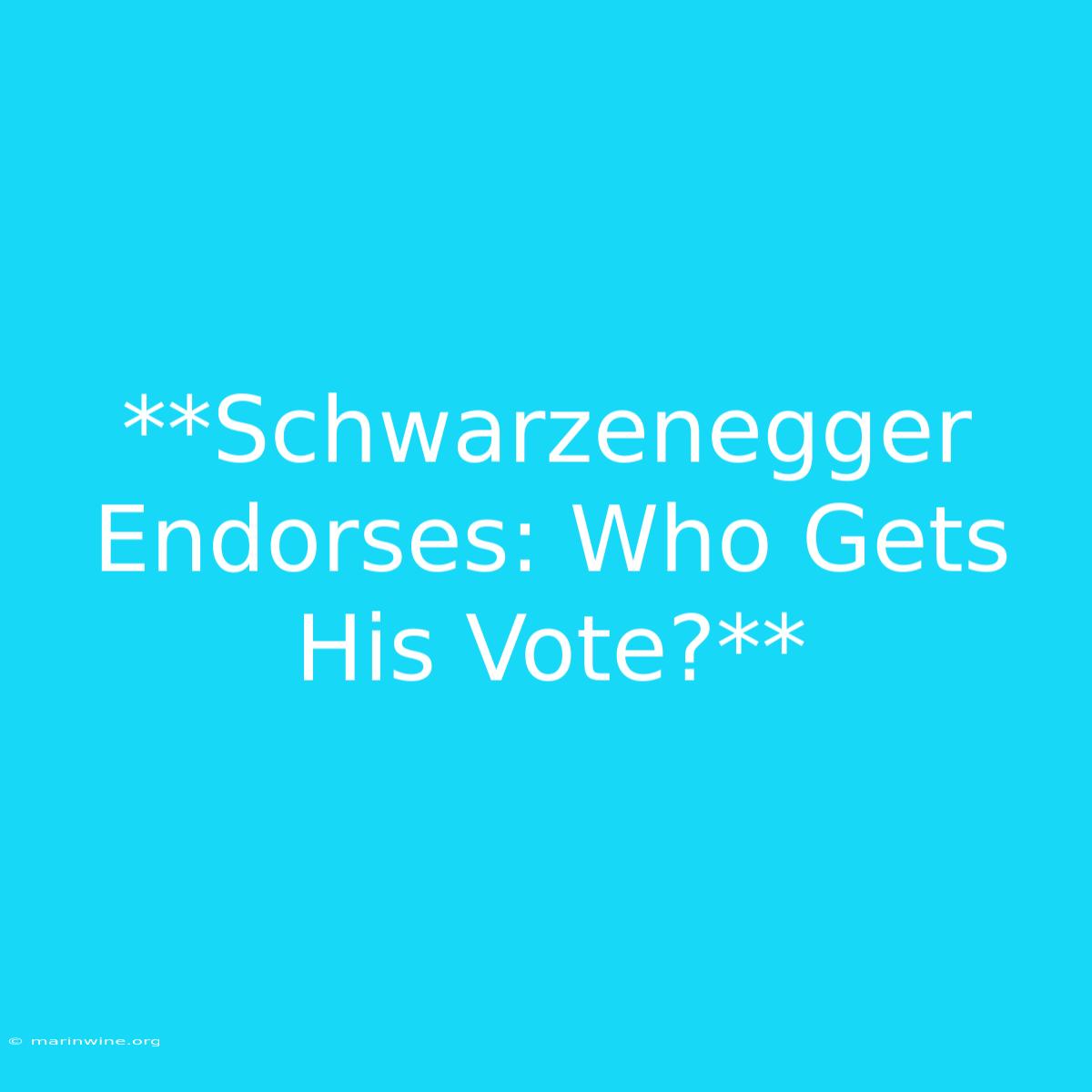 **Schwarzenegger Endorses: Who Gets His Vote?**