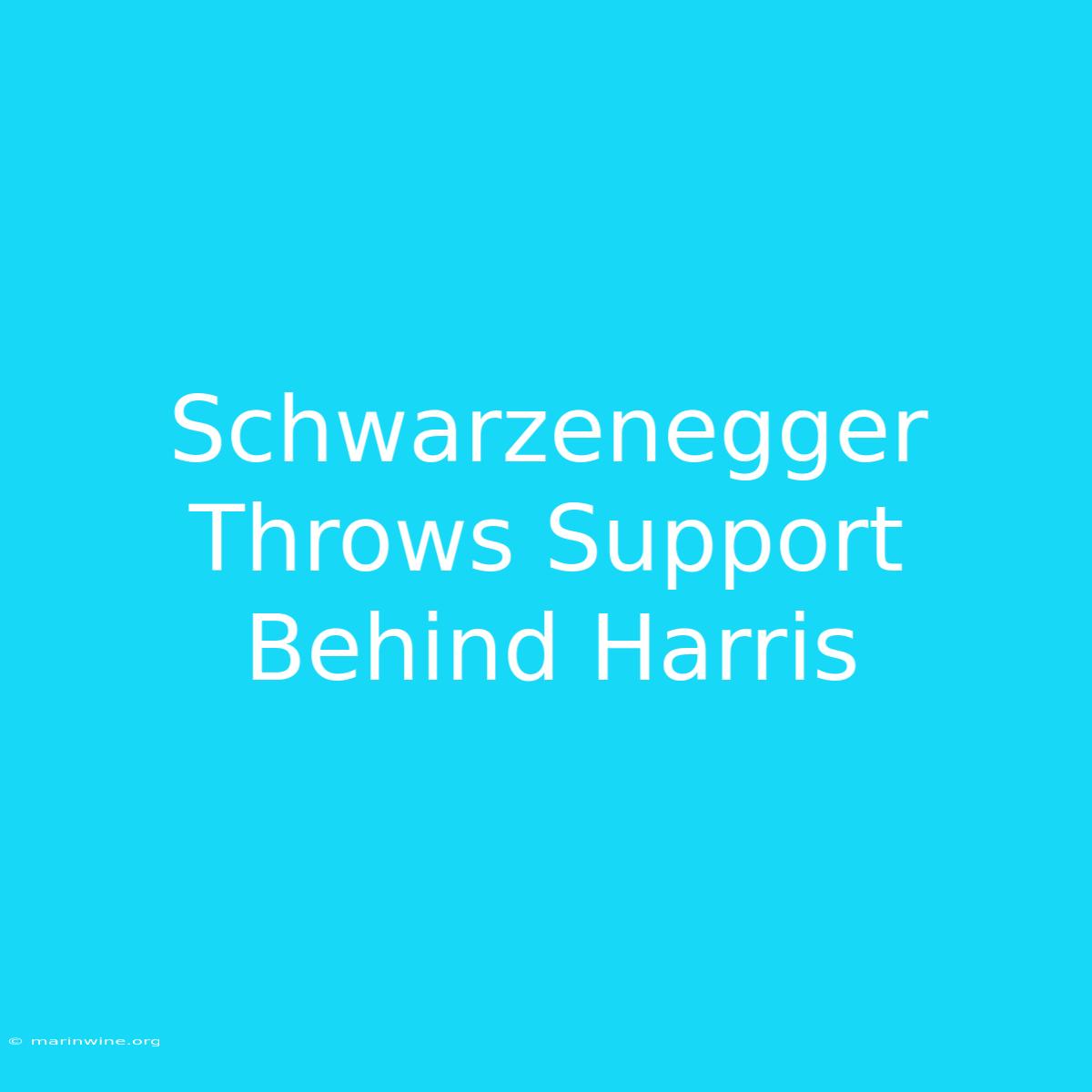 Schwarzenegger Throws Support Behind Harris 