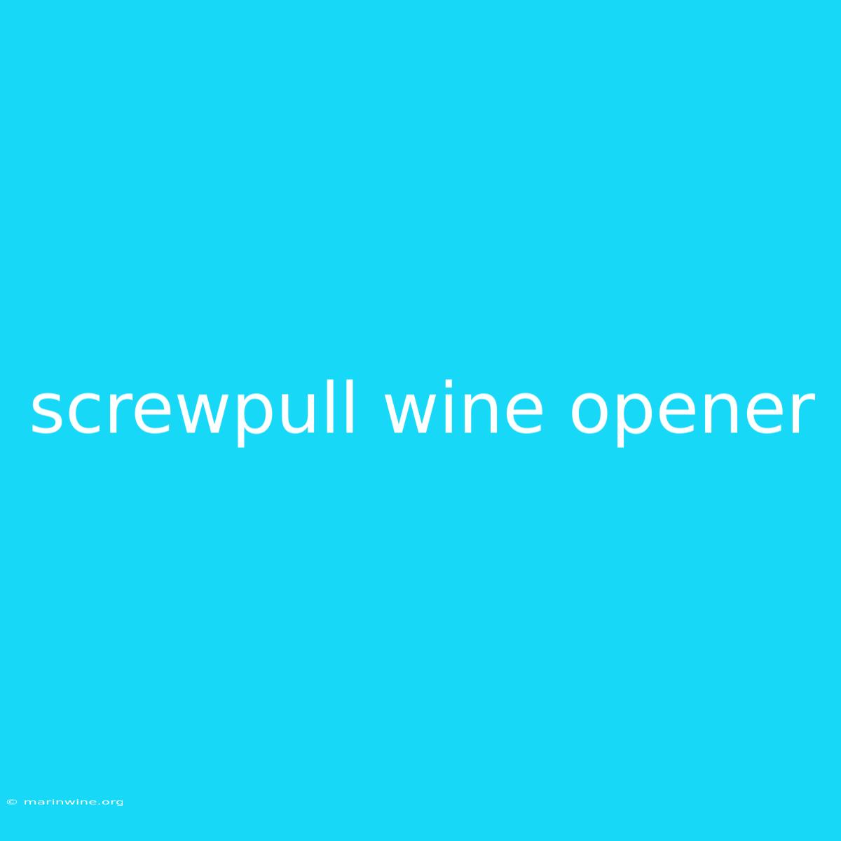 Screwpull Wine Opener