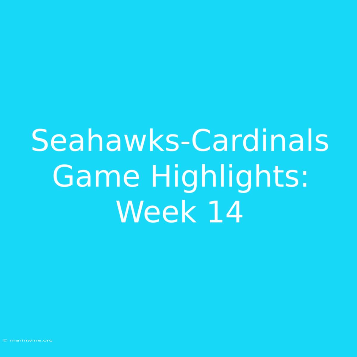 Seahawks-Cardinals Game Highlights: Week 14