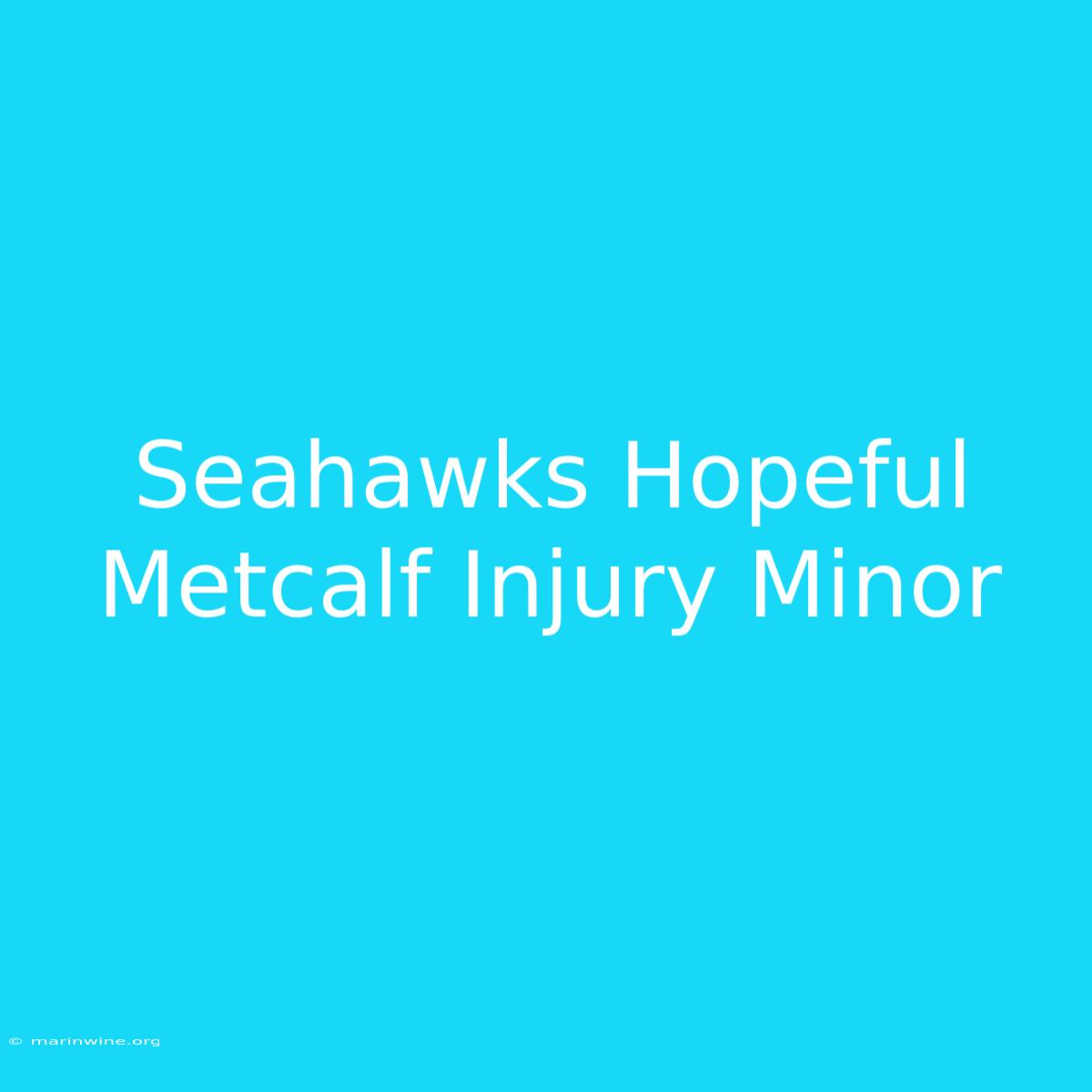 Seahawks Hopeful Metcalf Injury Minor