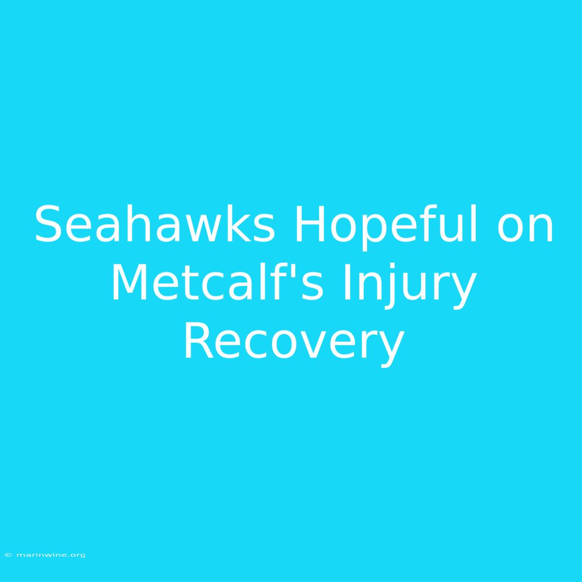 Seahawks Hopeful On Metcalf's Injury Recovery 