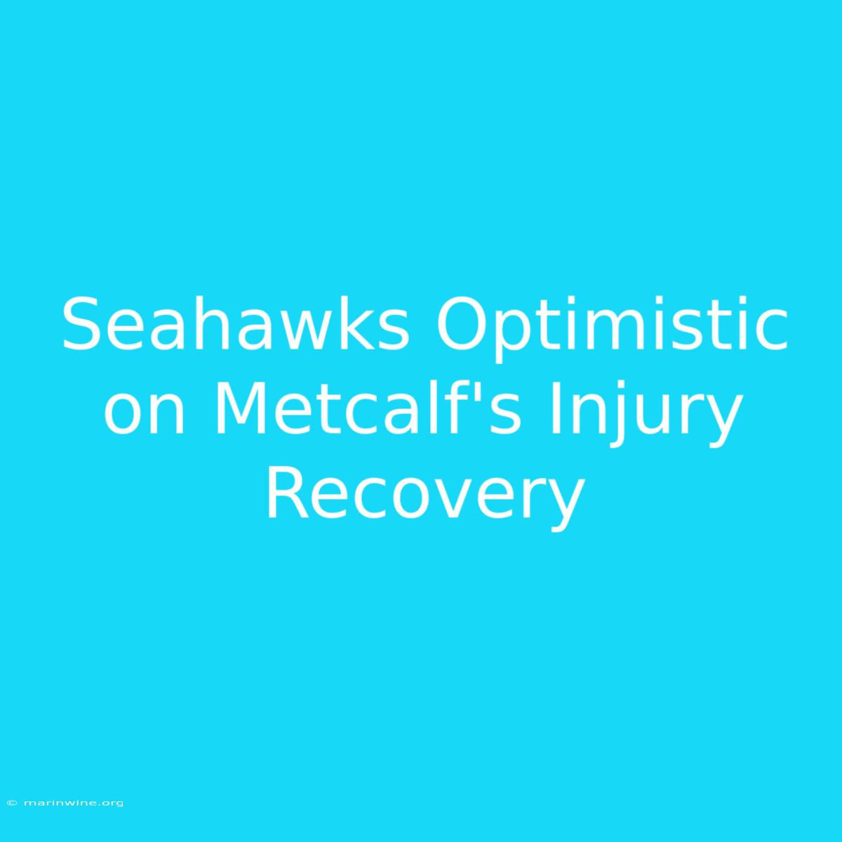 Seahawks Optimistic On Metcalf's Injury Recovery 