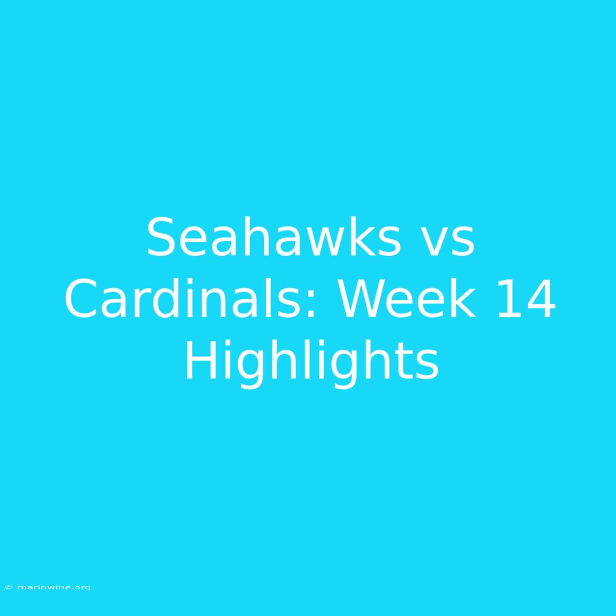 Seahawks Vs Cardinals: Week 14 Highlights