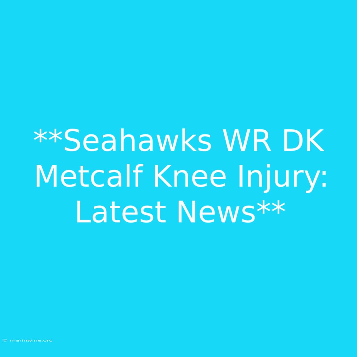 **Seahawks WR DK Metcalf Knee Injury: Latest News**