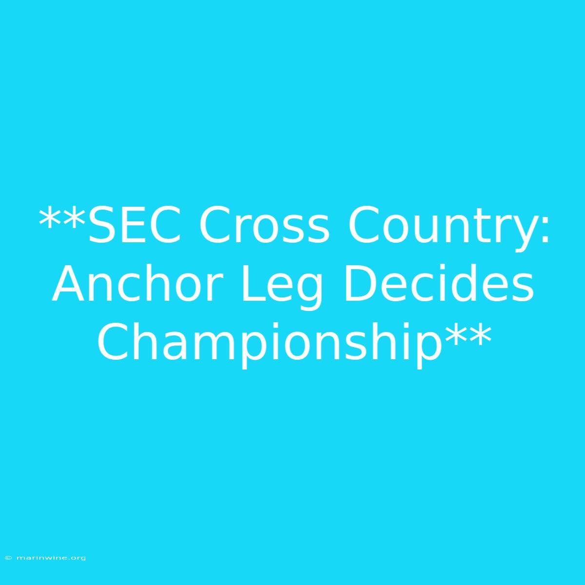 **SEC Cross Country: Anchor Leg Decides Championship**