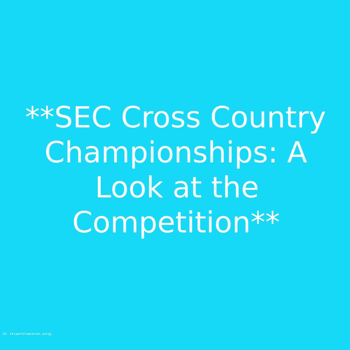 **SEC Cross Country Championships: A Look At The Competition** 