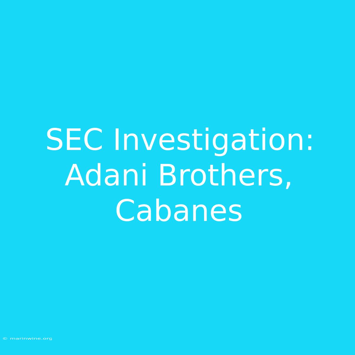 SEC Investigation: Adani Brothers, Cabanes