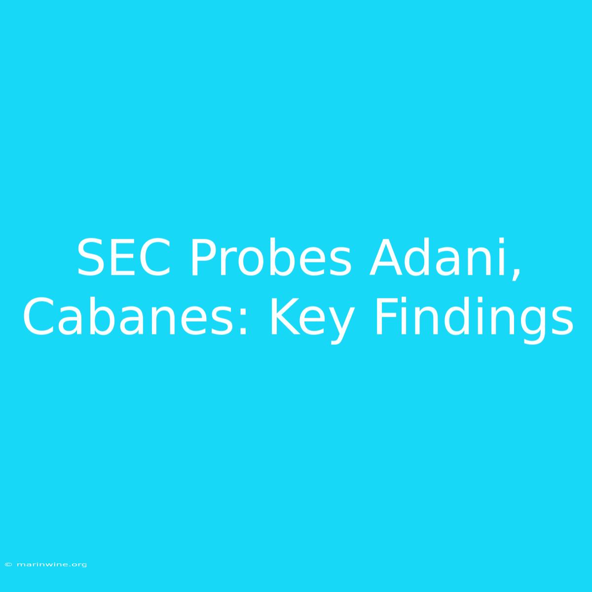 SEC Probes Adani, Cabanes: Key Findings