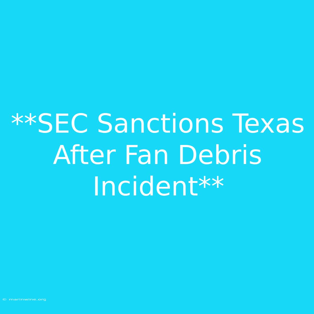 **SEC Sanctions Texas After Fan Debris Incident**