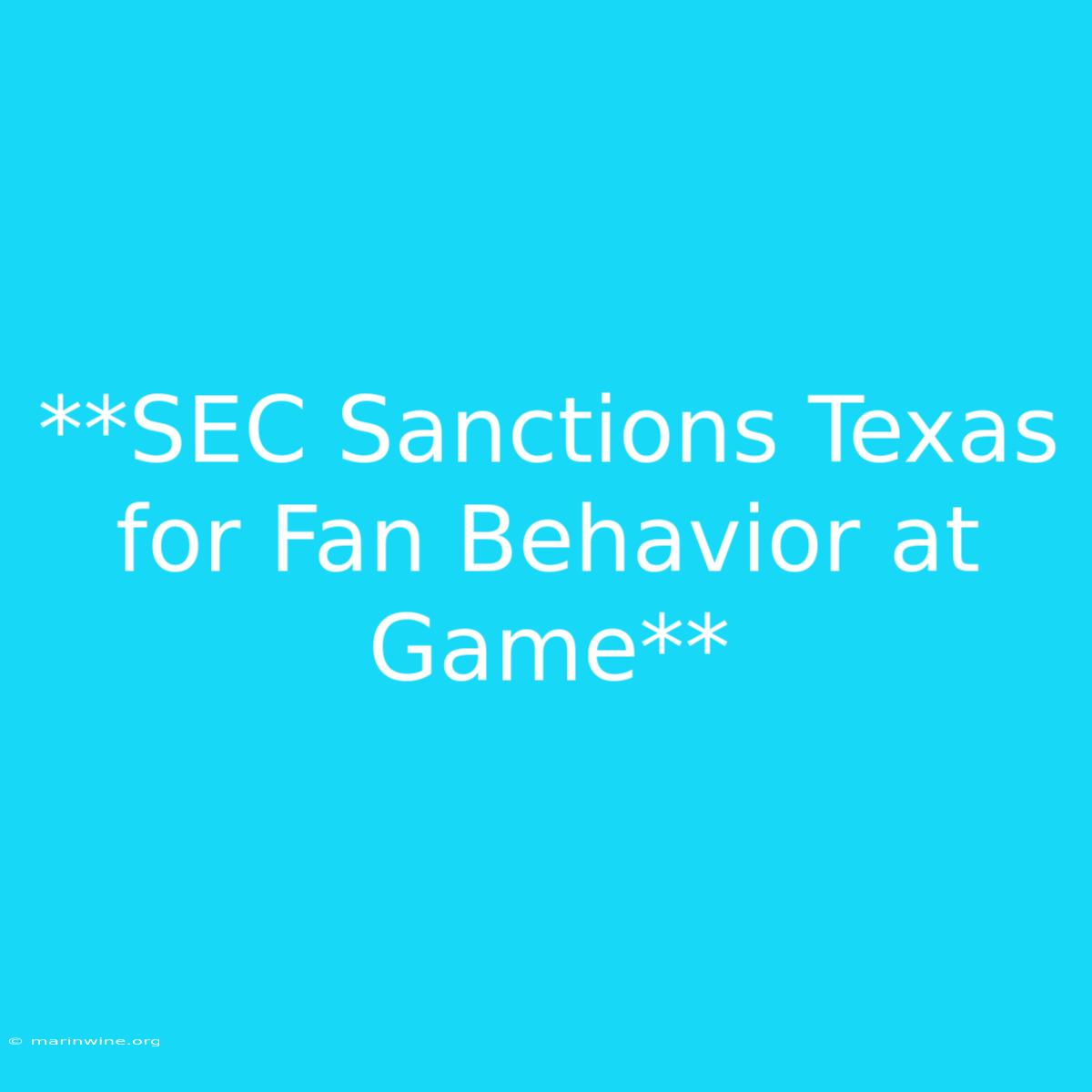 **SEC Sanctions Texas For Fan Behavior At Game** 