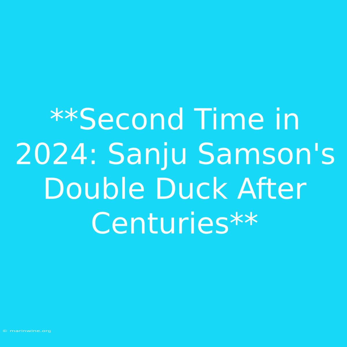 **Second Time In 2024: Sanju Samson's Double Duck After Centuries** 