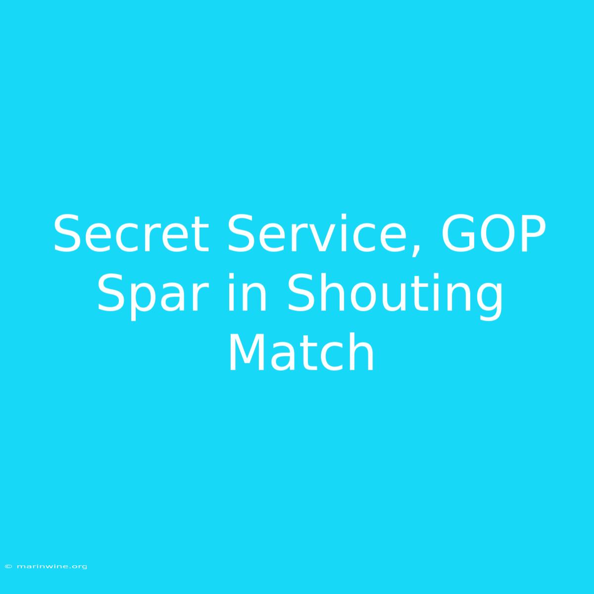 Secret Service, GOP Spar In Shouting Match