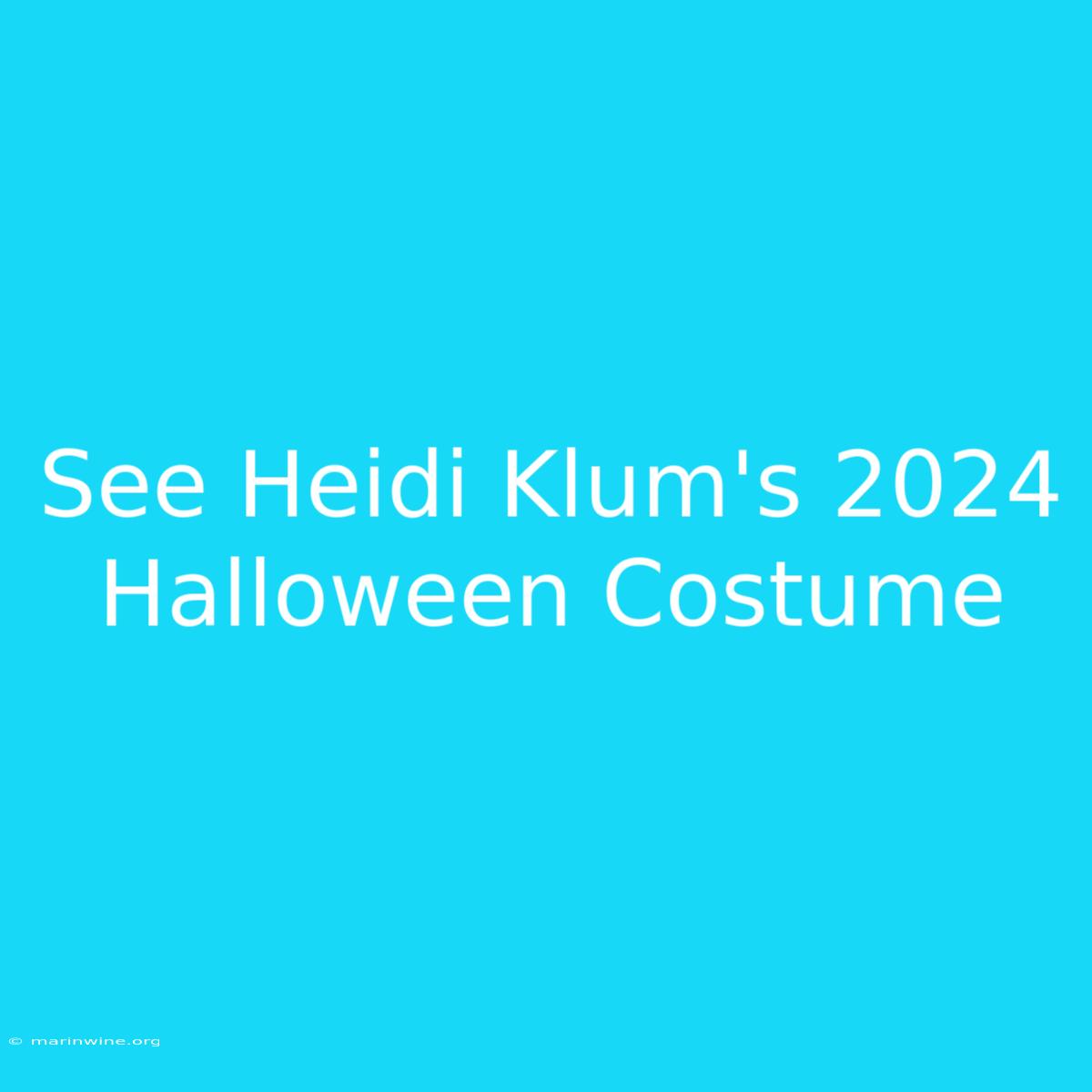 See Heidi Klum's 2024 Halloween Costume 