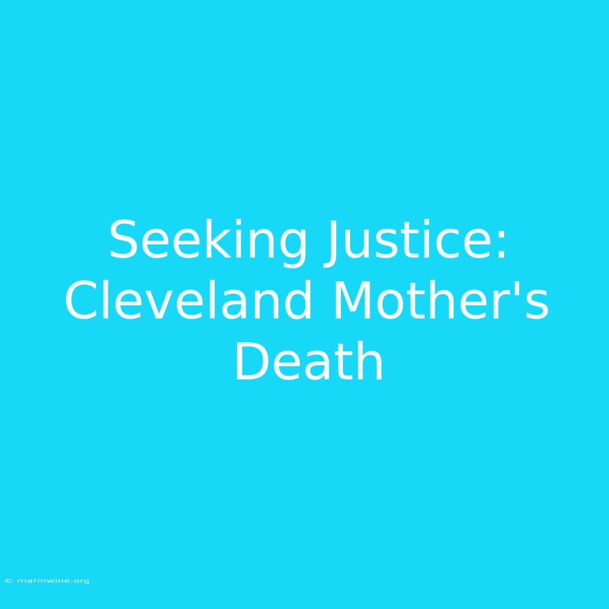 Seeking Justice: Cleveland Mother's Death