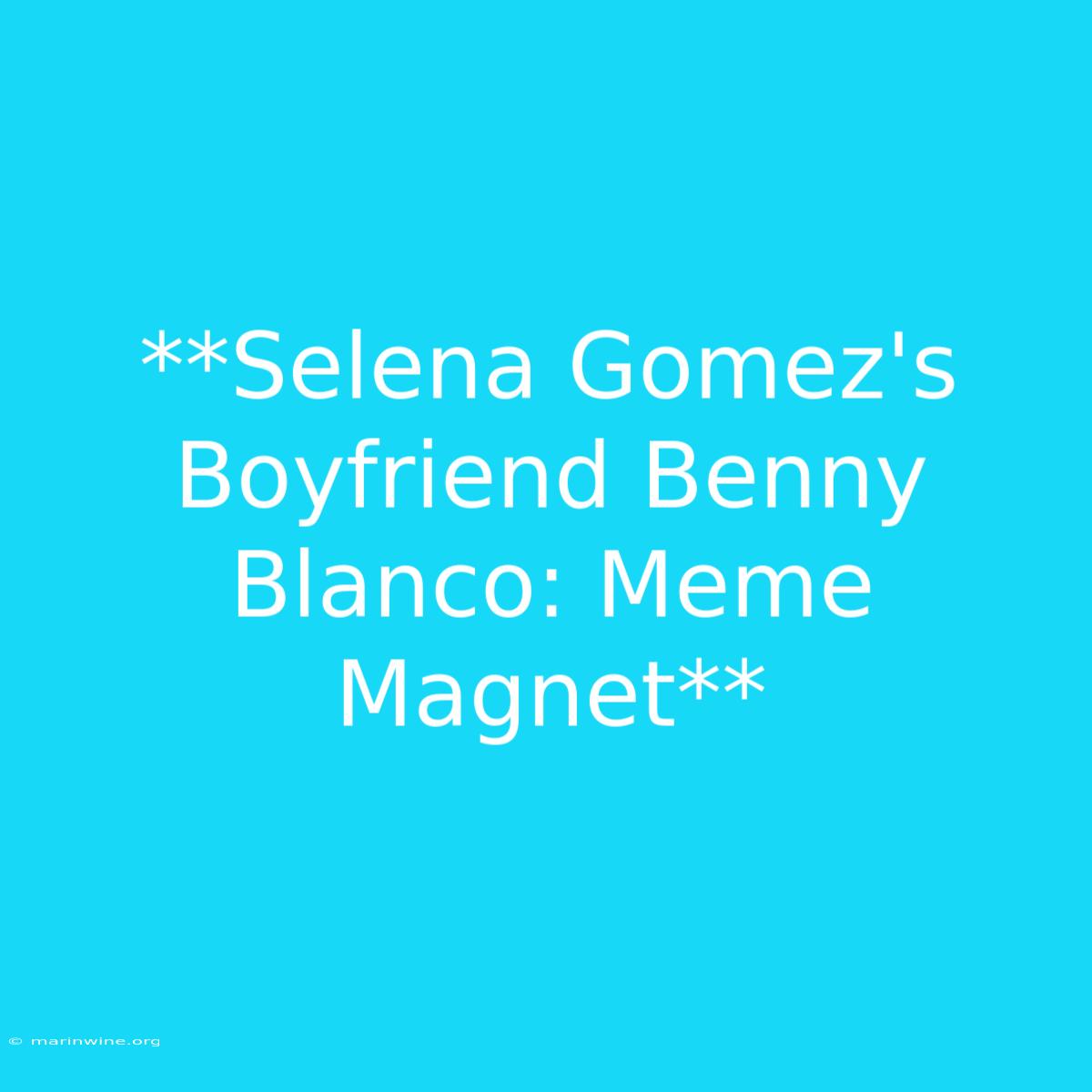 **Selena Gomez's Boyfriend Benny Blanco: Meme Magnet**