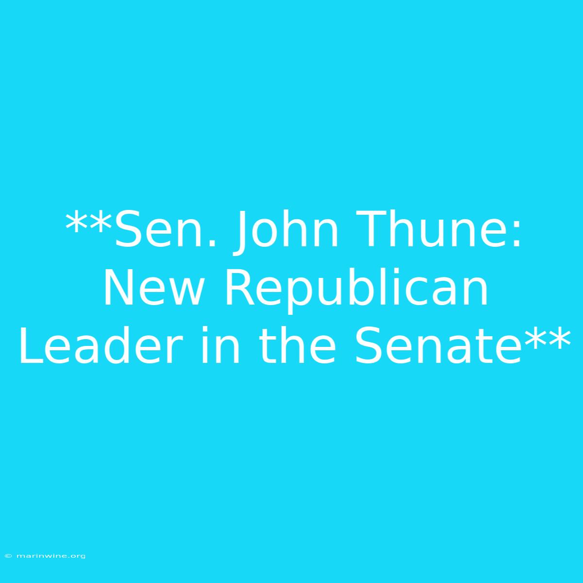 **Sen. John Thune: New Republican Leader In The Senate** 